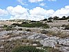 DSCN1280.JPG