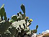 DSCN1296.JPG