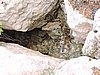 DSCN1352.JPG