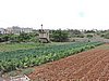 DSCN1356.JPG