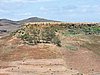 DSCN1376.JPG