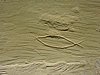 DSCN1380.JPG