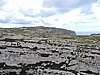 DSCN1393.JPG