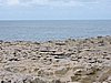 DSCN1397.JPG
