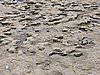 DSCN1398.JPG
