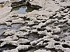 DSCN1405.JPG