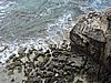 DSCN1414.JPG