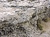 DSCN1418.JPG