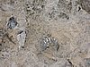 DSCN1422.JPG