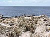 DSCN1423.JPG