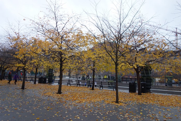 DSC06403.JPG