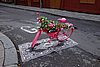 DSC06498.JPG