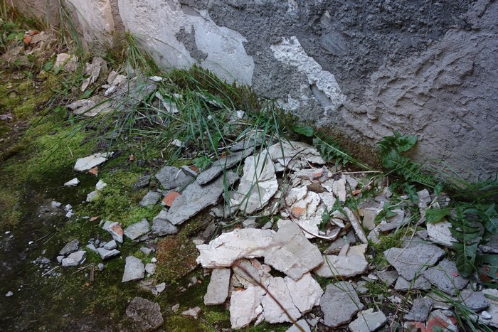DSC06211.JPG