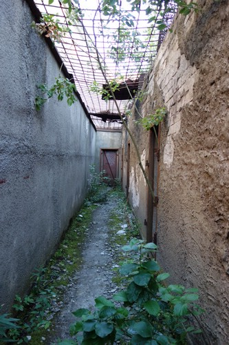 DSC06212.JPG