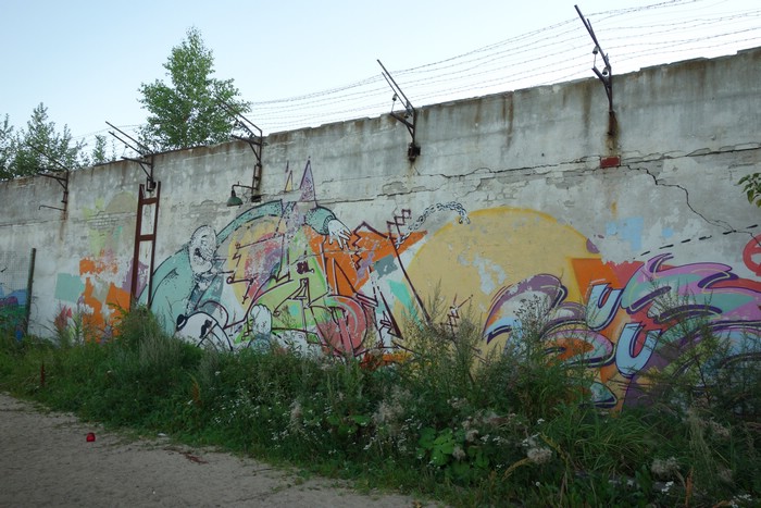 DSC06230.JPG