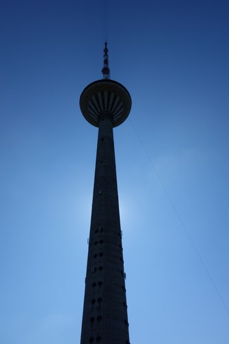DSC06299.JPG