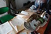 DSC06098.JPG