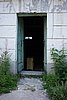 DSC06129.JPG