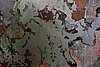 DSC06140.JPG
