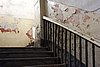 DSC06142.JPG