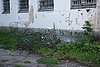 DSC06144.JPG