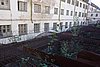 DSC06152.JPG