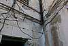 DSC06157.JPG
