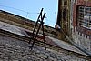 DSC06173.JPG