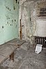 DSC06205.JPG