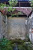 DSC06210.JPG
