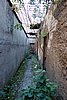DSC06212.JPG
