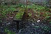 DSC06213.JPG