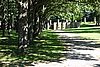 DSC06305.JPG