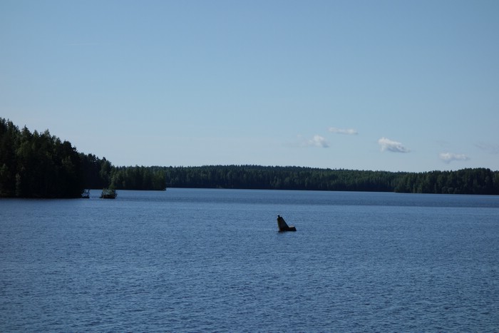 DSC05672.JPG