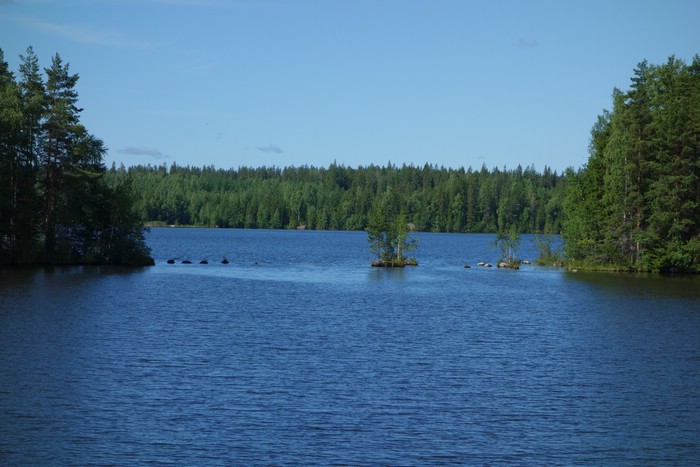 DSC05673.JPG