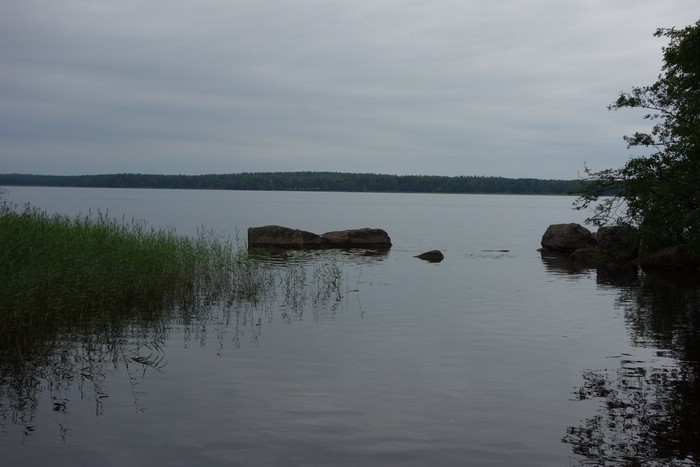 DSC05857.JPG