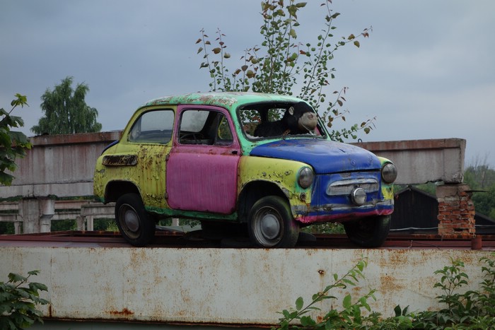 DSC05884.JPG