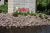 DSC05686.JPG