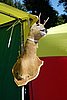 DSC05705.JPG