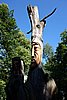 DSC05706.JPG