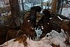 DSC05724.JPG