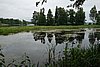 DSC05854.JPG