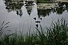 DSC05855.JPG