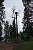DSC05856.JPG