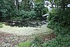 DSC05859.JPG