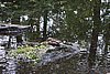 DSC05864.JPG