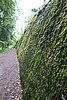 DSC05872.JPG