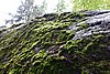 DSC05873.JPG