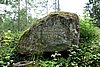 DSC05961.JPG