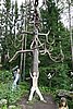 DSC05999.JPG